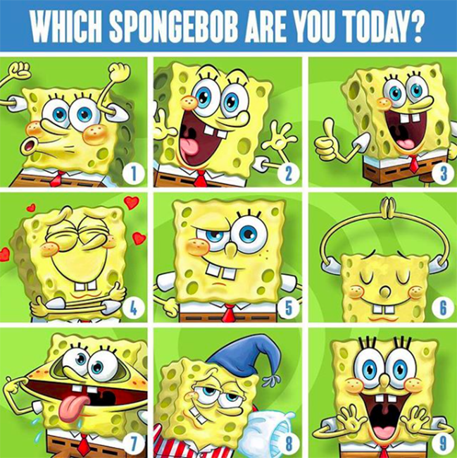 SpongeBob Social